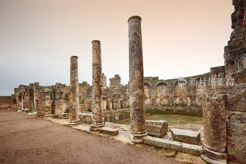 Perge, Antalya，火鸡